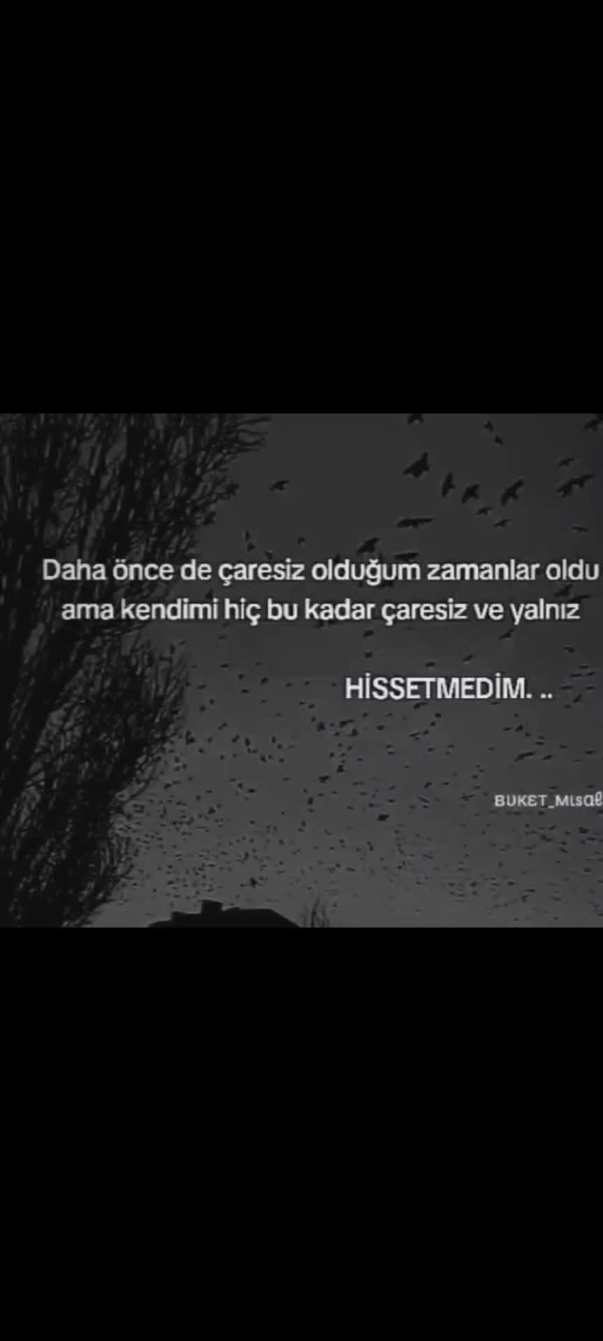 @hevidar01