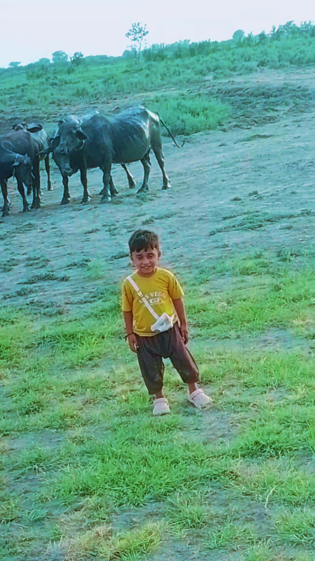 @Gulbarga birohi