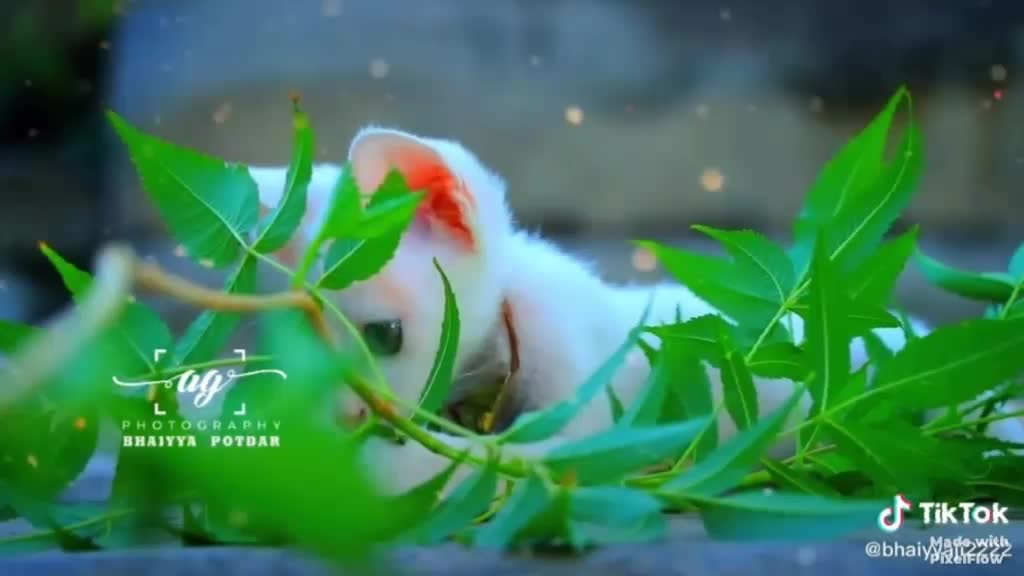 @user80036870832