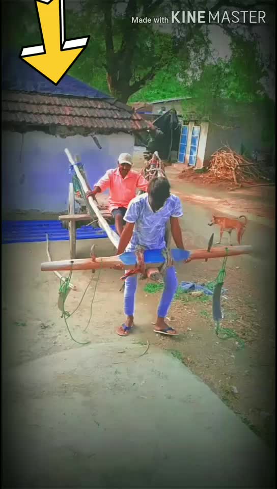 @user549802353688