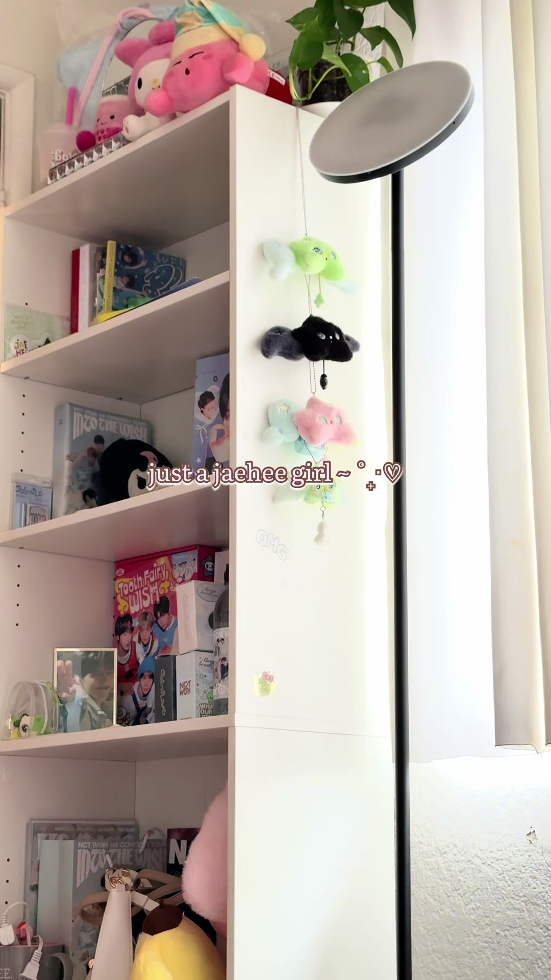 @juni⋆𐙚₊˚⊹♡