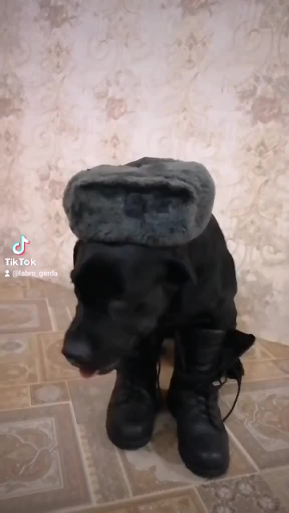 @Герда