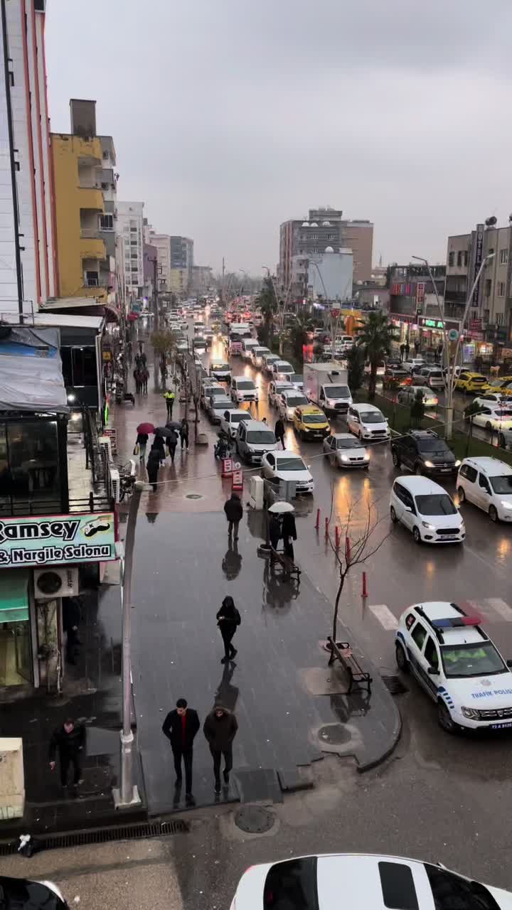 @Sılopya