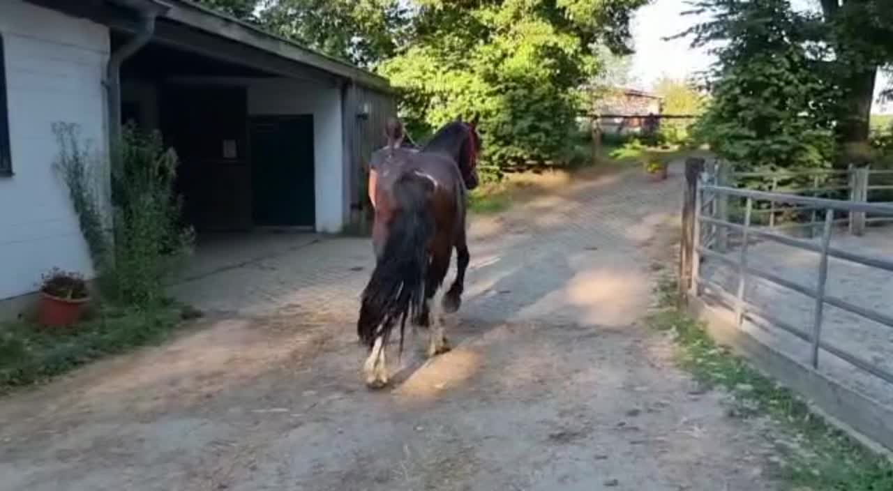 @𝐒𝐡𝐞𝐲