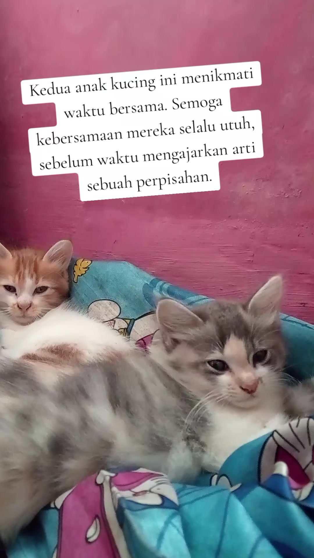 @Lina herlina
