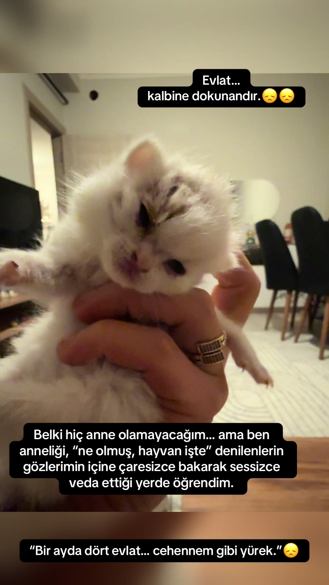 @Sezen damar❤️
