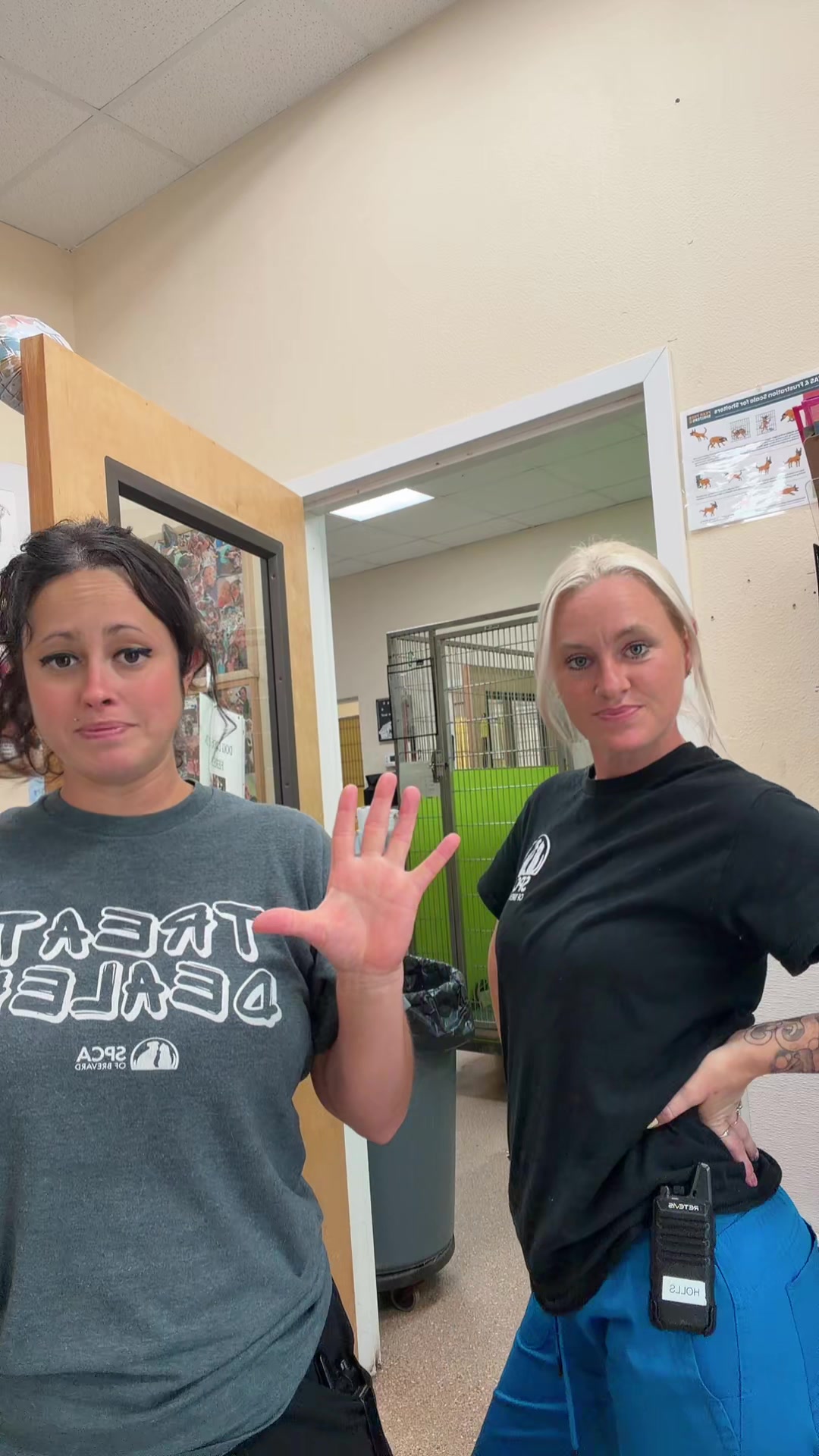 @2vettechs
