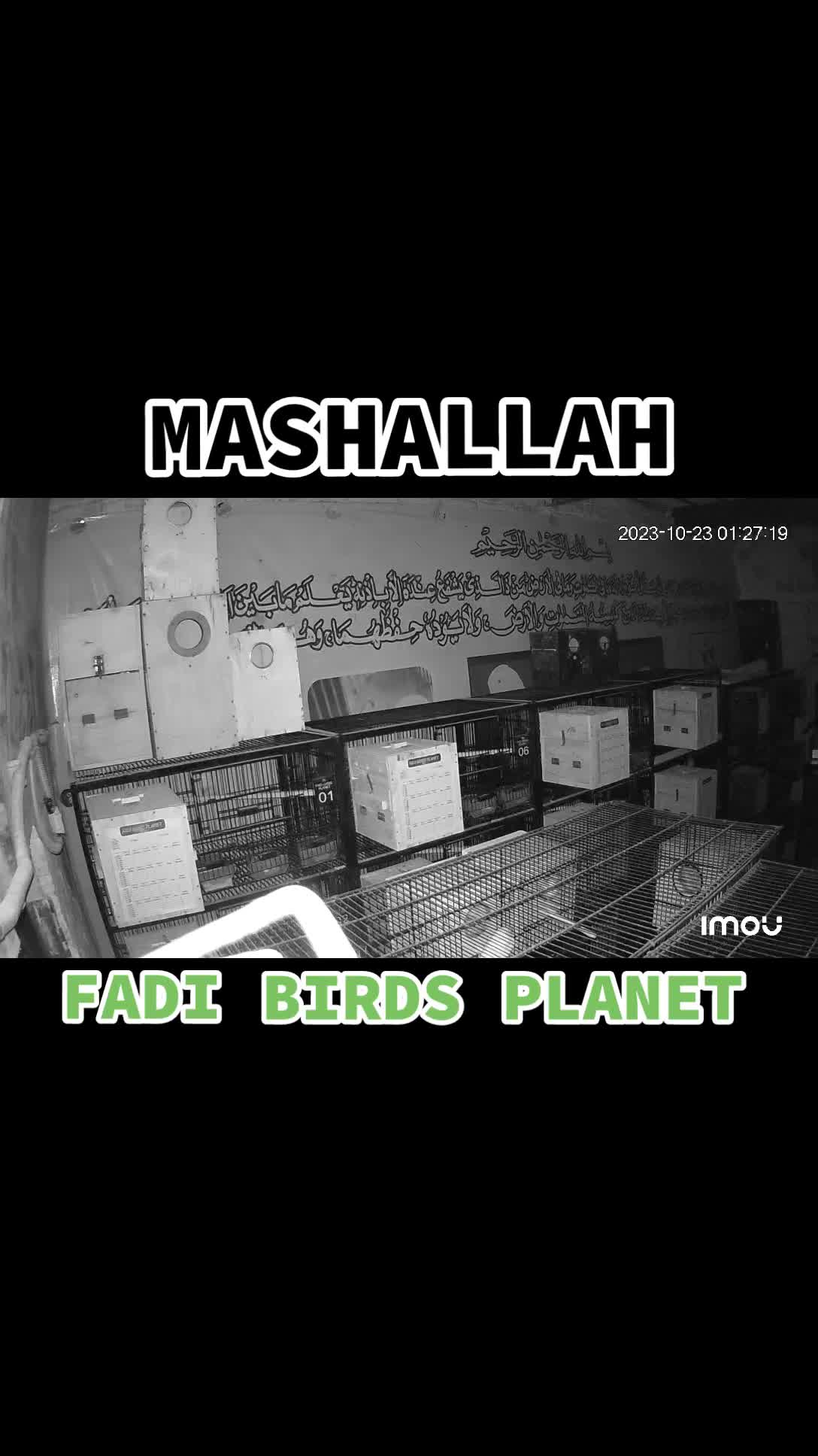 @MIAN FAحAD 🍁