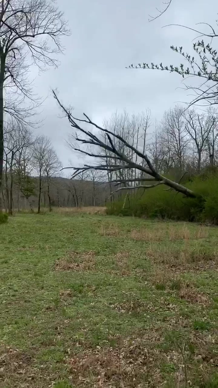 @Slimstreaming