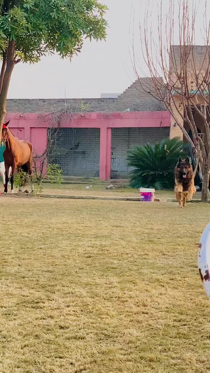 @Awais Khan Tajik