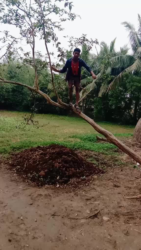 @user345578534732