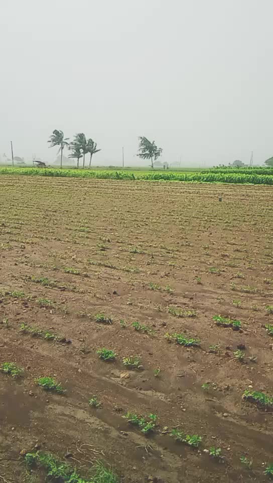 @Kanu Vadhiya