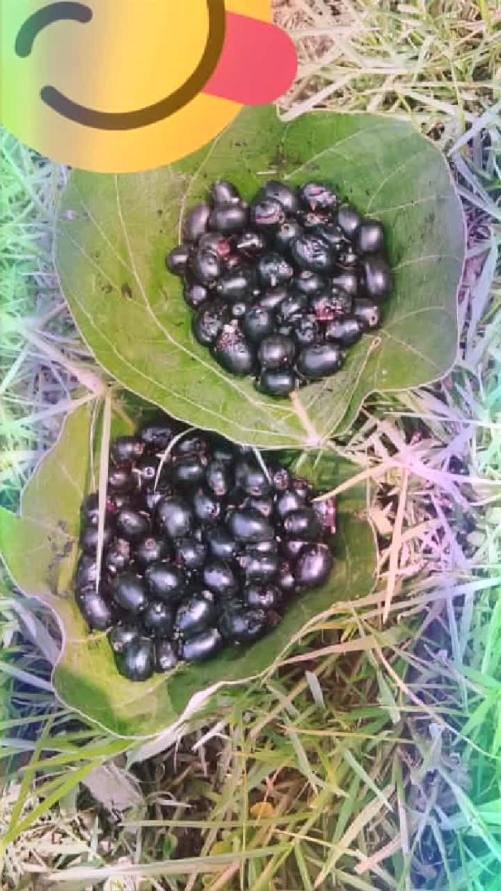 @user02283758866