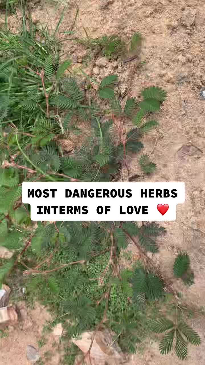 @Herbs And Mystics