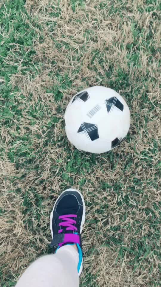 @hollis.lane