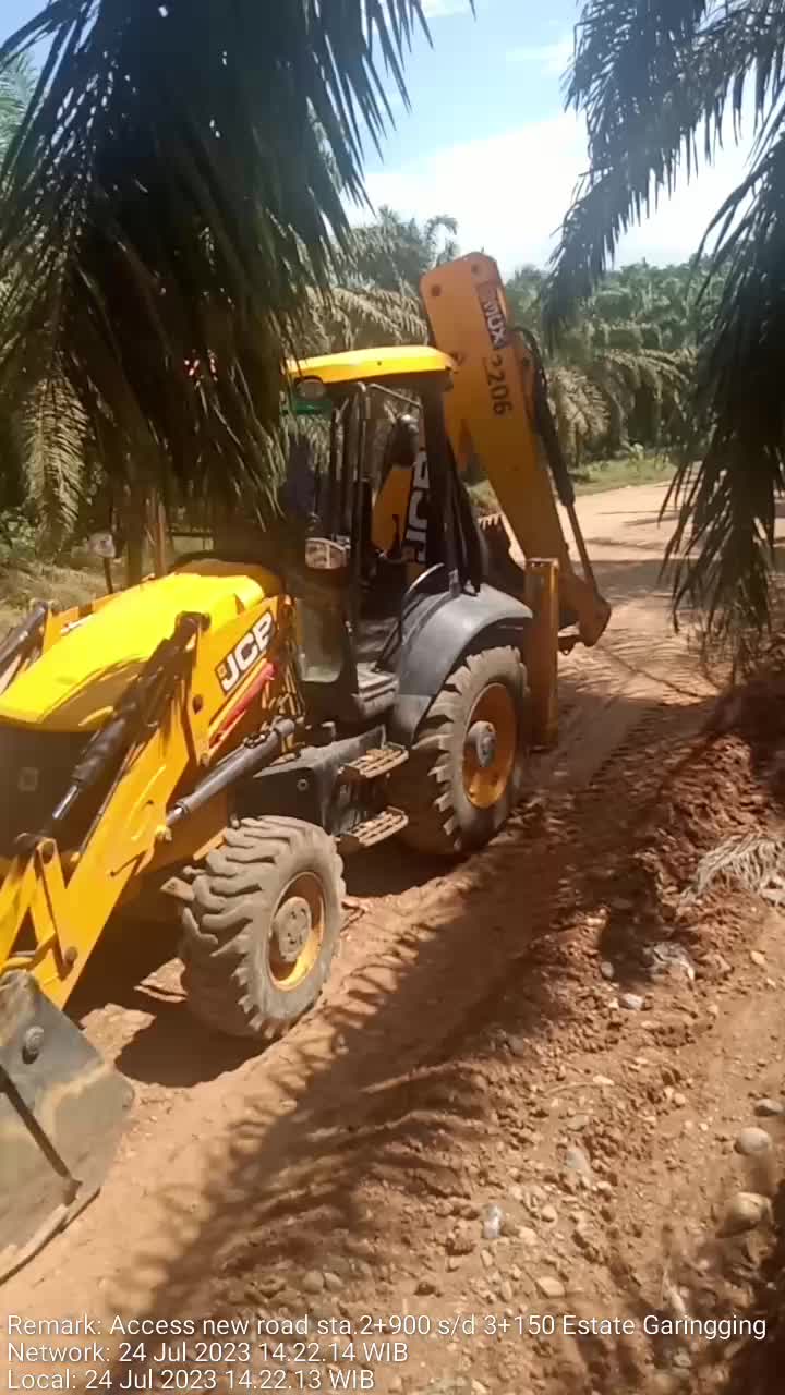 @borneo5379017718526