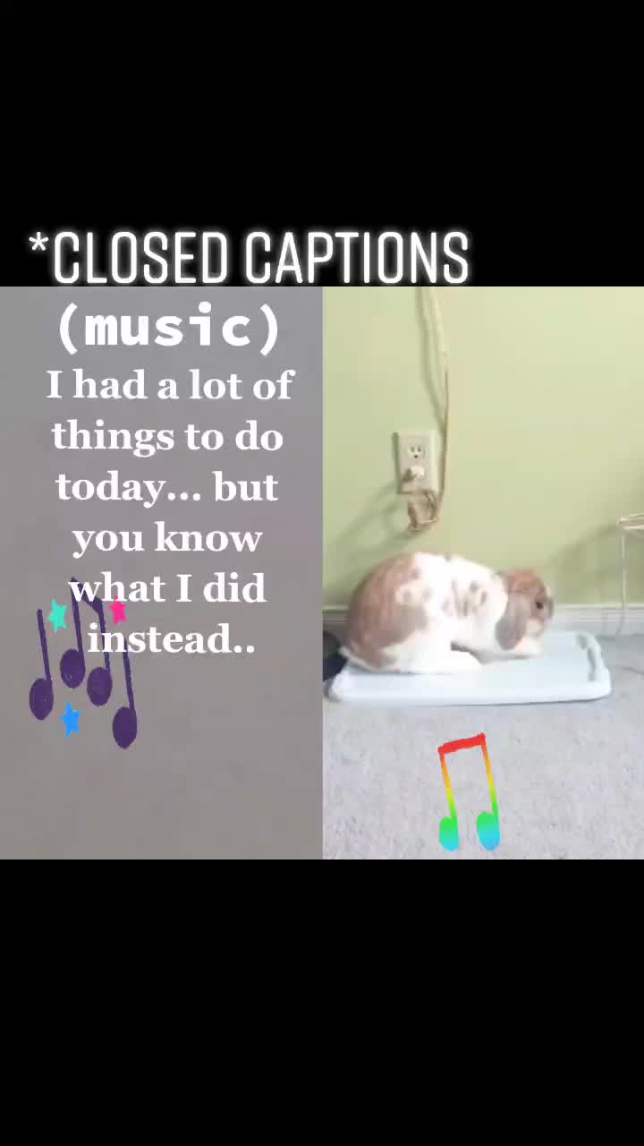 @oh_squirrel