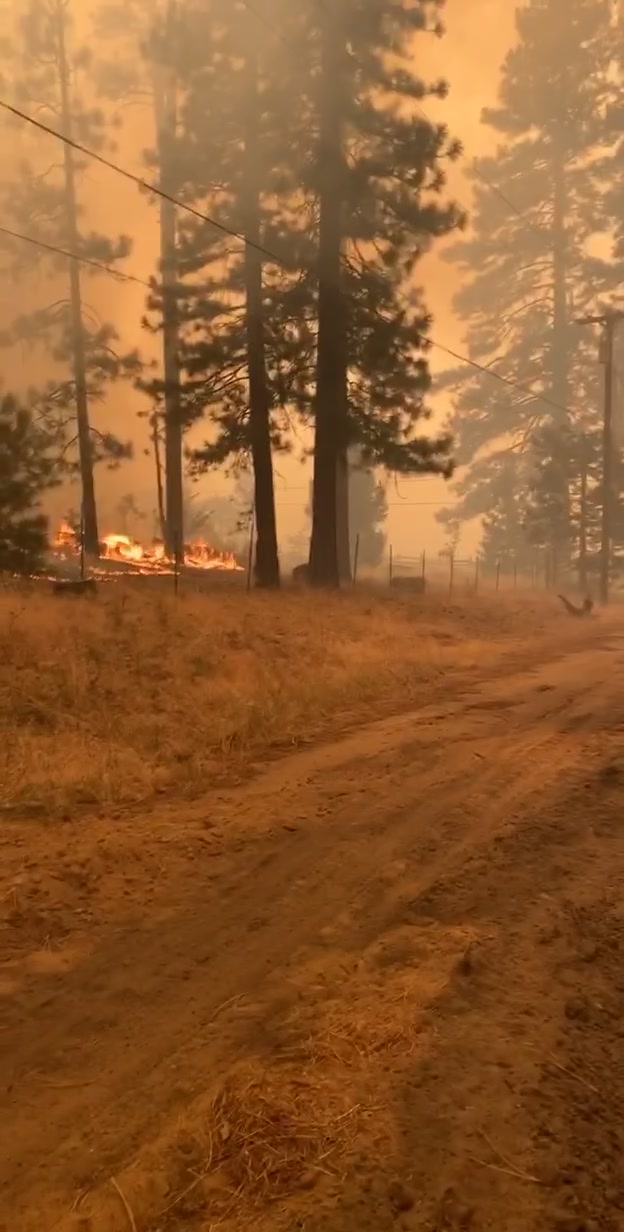 @Wildlandguy