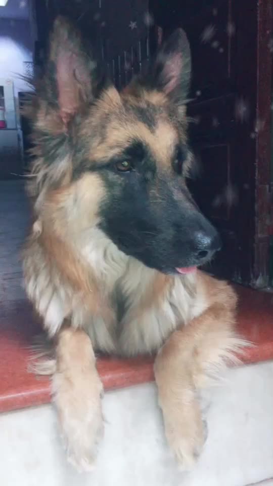 @Lakshya Mj Lakhara