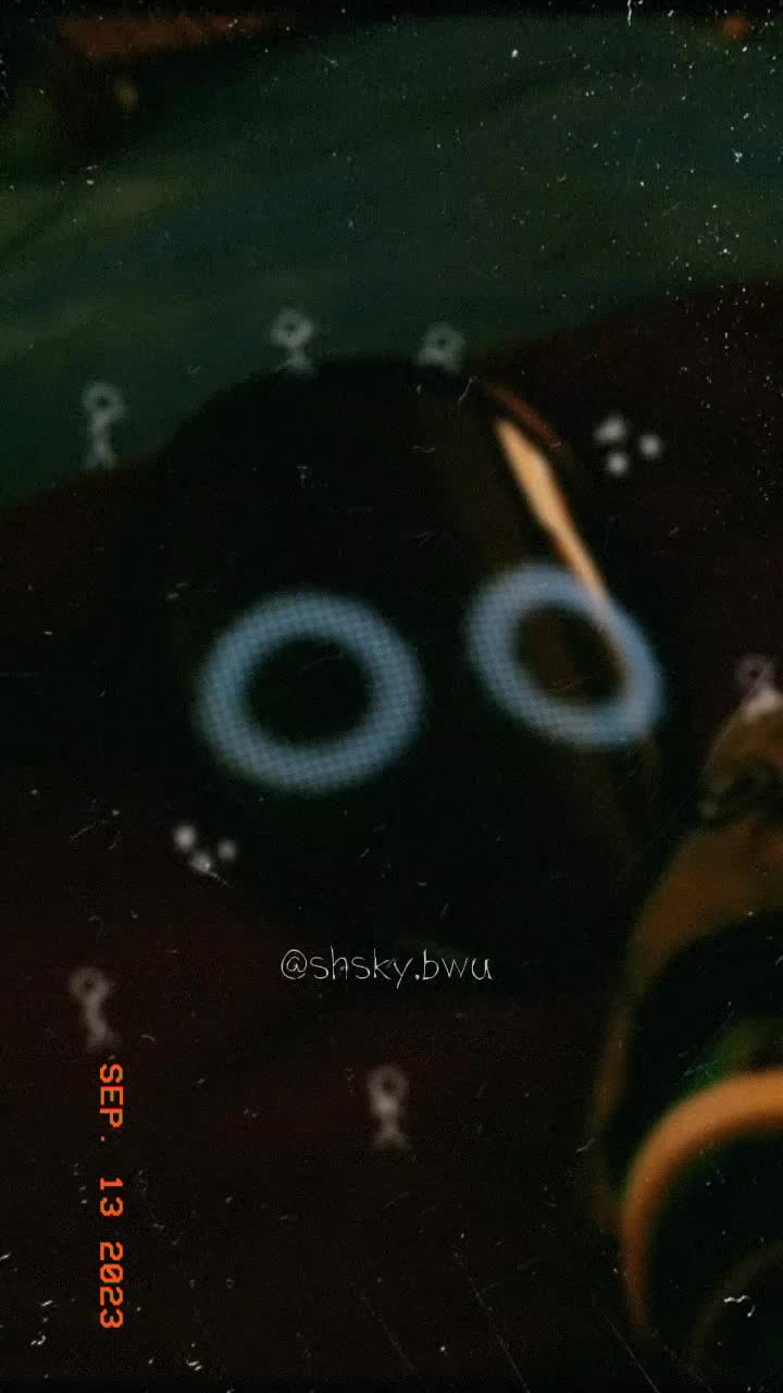 @shshhk