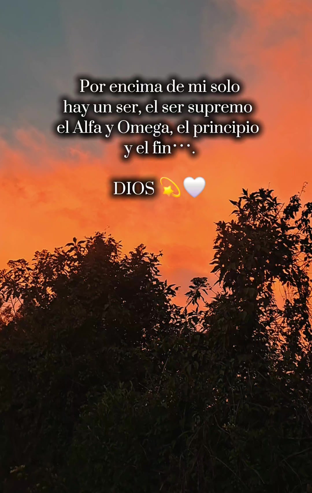 @MarI 🌺