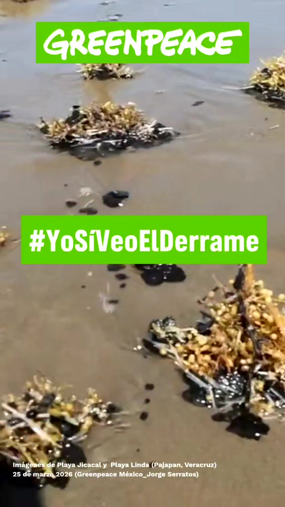 @Greenpeace México