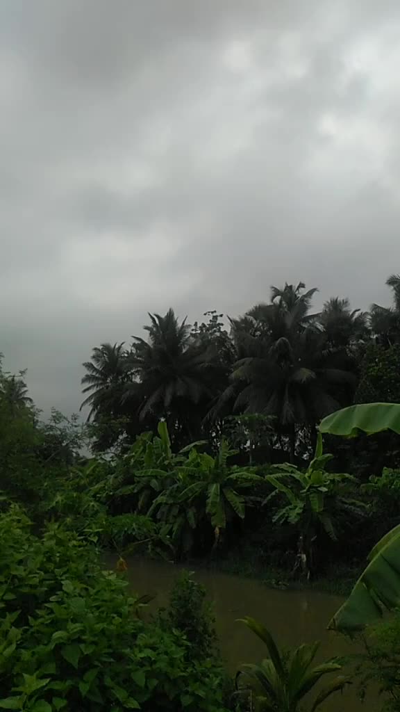 @Murthy Rudra41