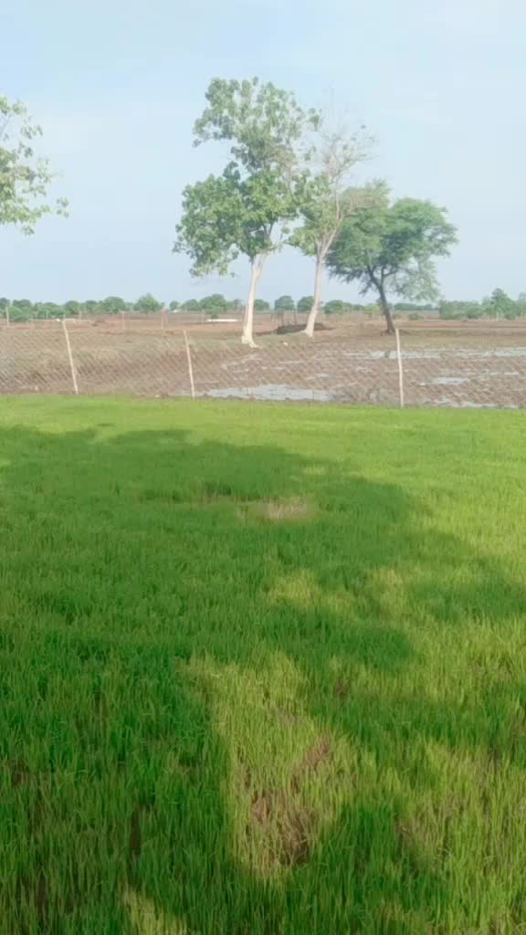 @Mr.. Rj.. Sahu