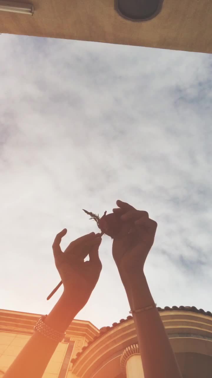 @N O R A๐♥๏ธ