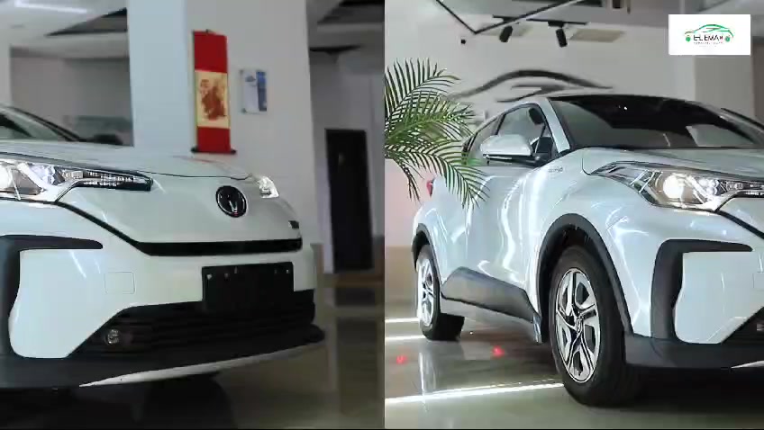 @Eleman Electric Cars