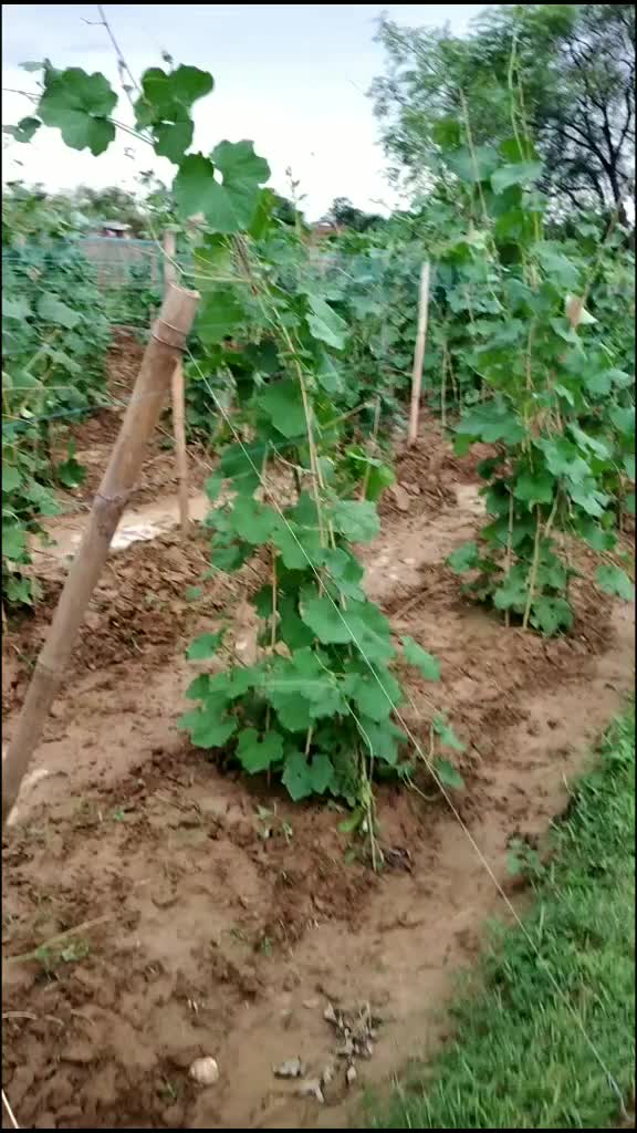 @user2673973312786