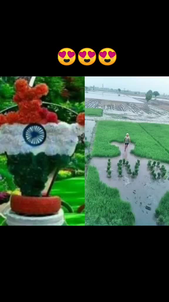 @user4593056788885