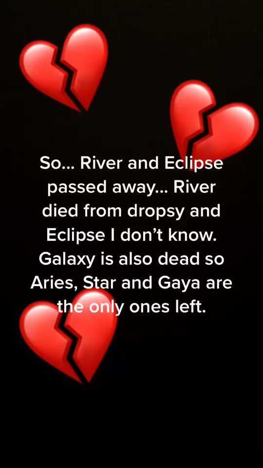 @EclipseTheDoubletail