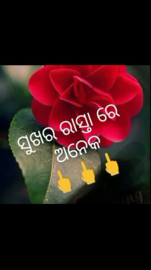 @mamuni and mamuni