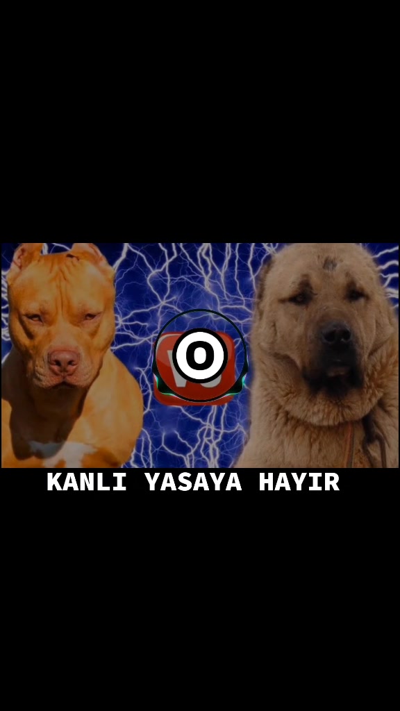 @Orçun Remix Official