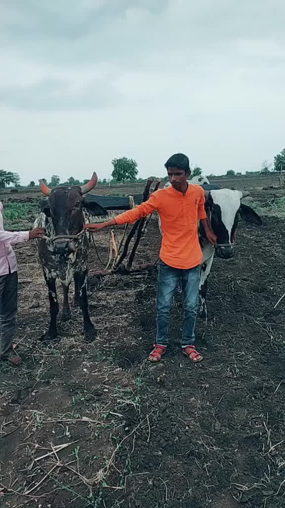 @Dnyanewshwar Patil
