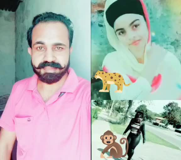@Lovepreet Singh