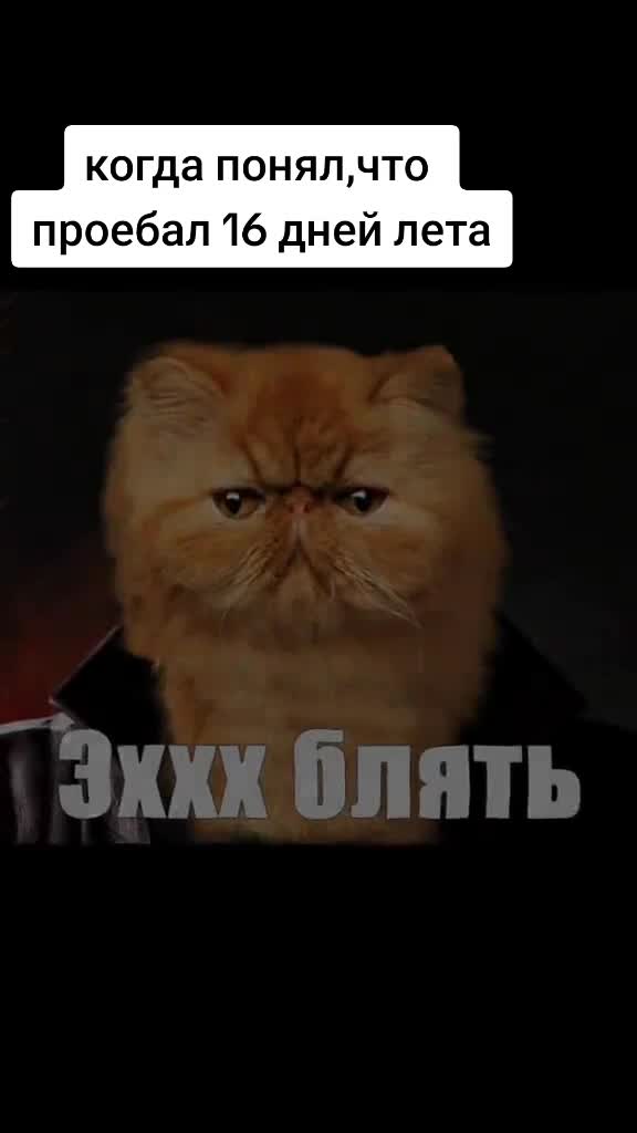 @therkach_560