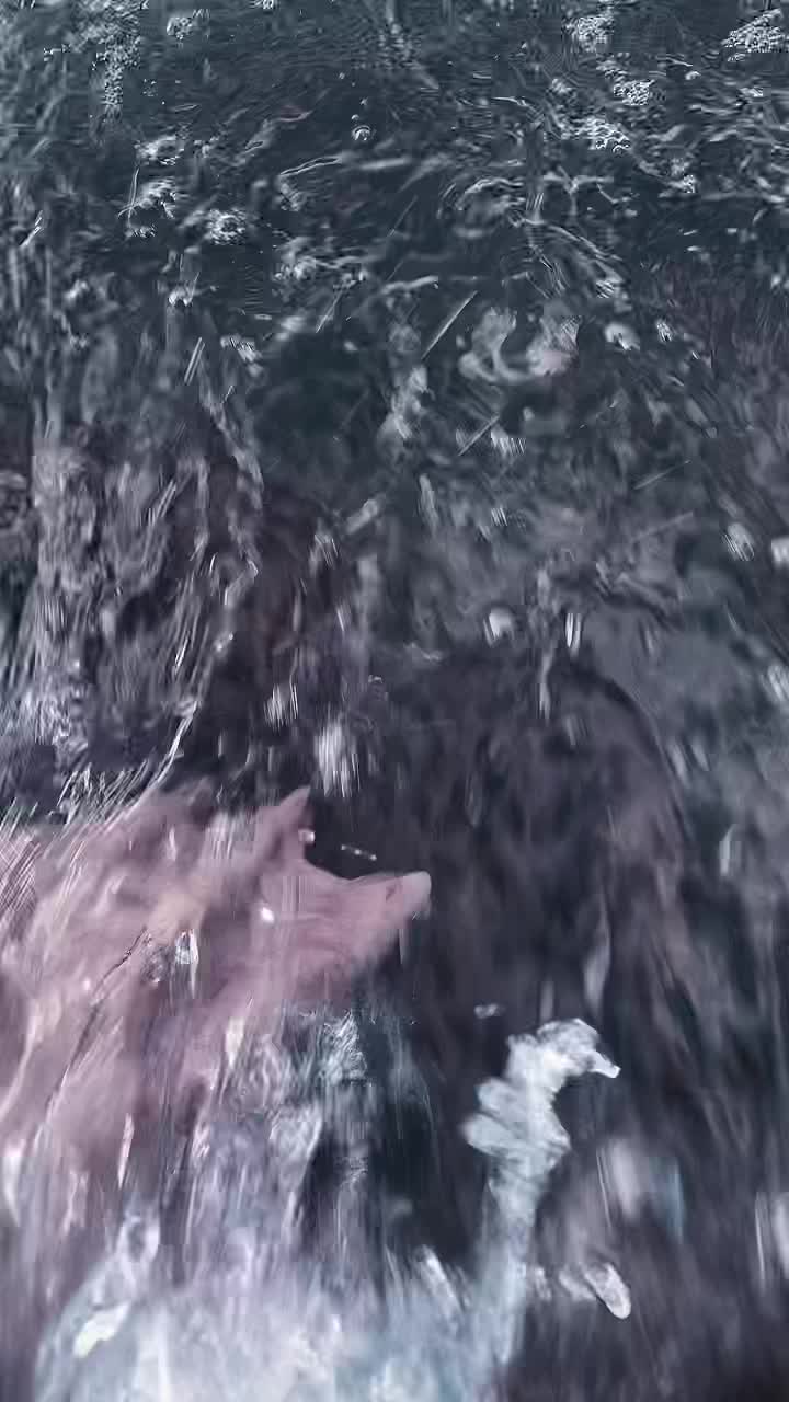 @kurague🐟