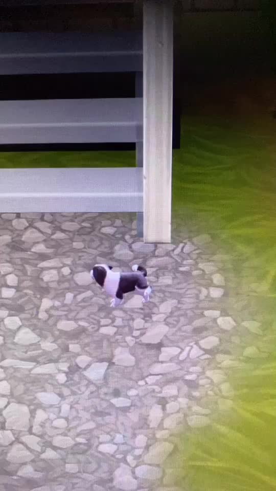 @Sims 4 stories