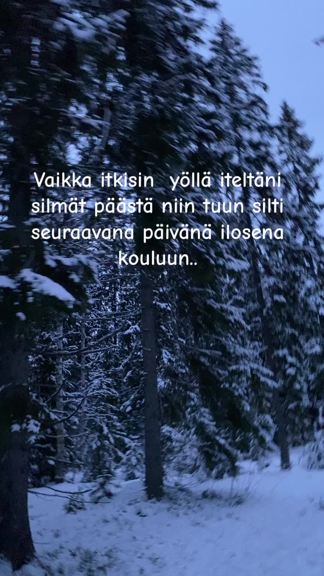 @p&auml;iv&auml;kirjani