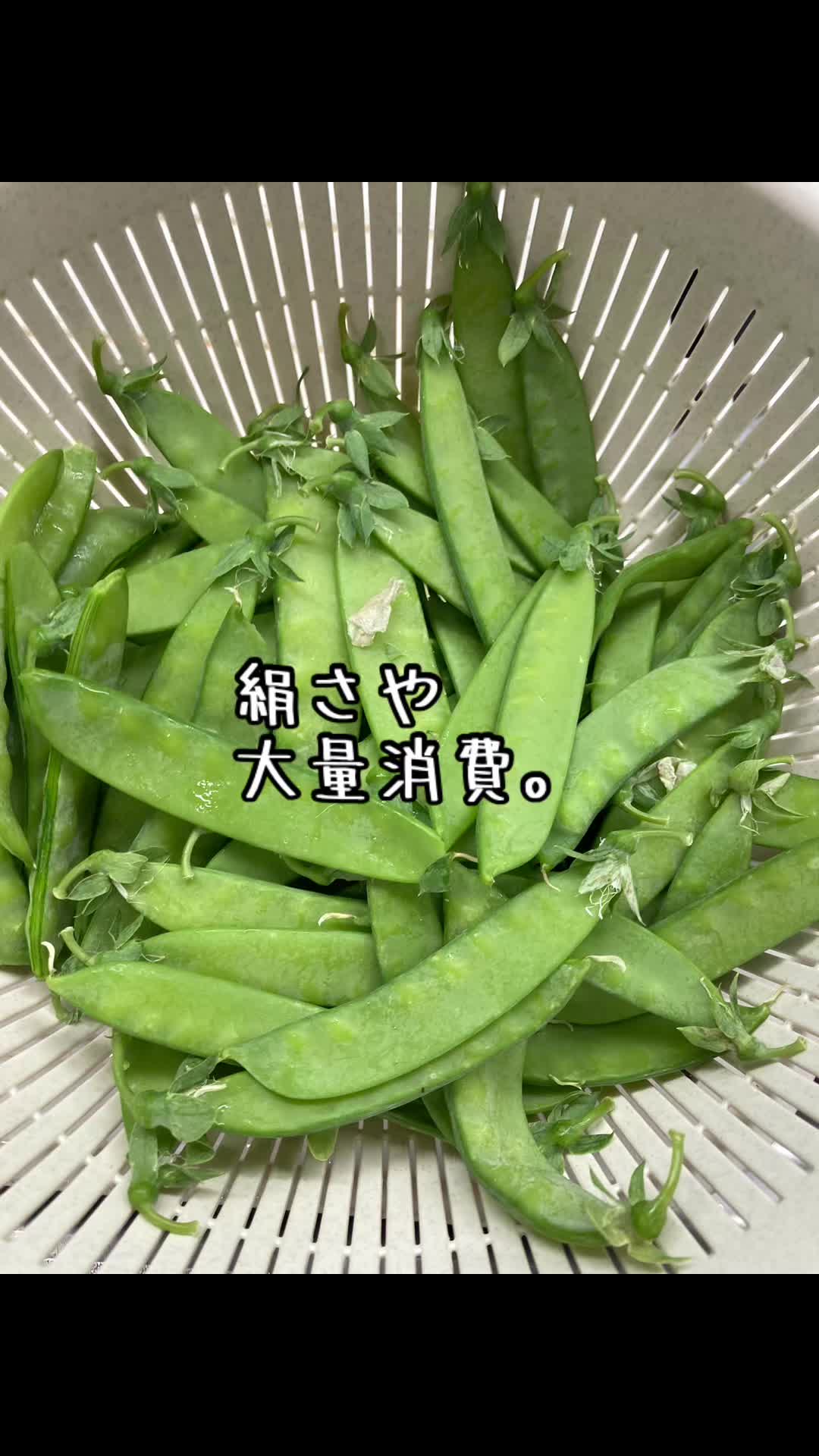 @♨️🦥chobichobitabetai🦥♨️