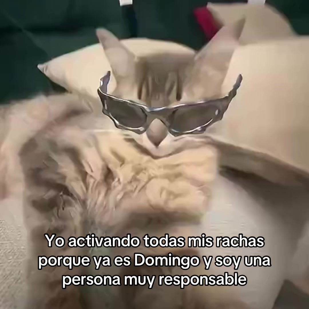 @saulburgosp2.0