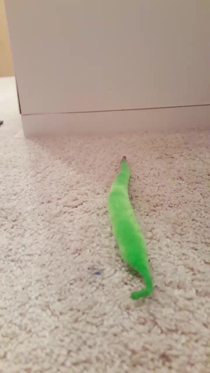 @Jürgen💚👋