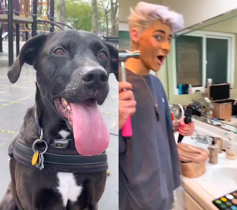 @Max the Pup
