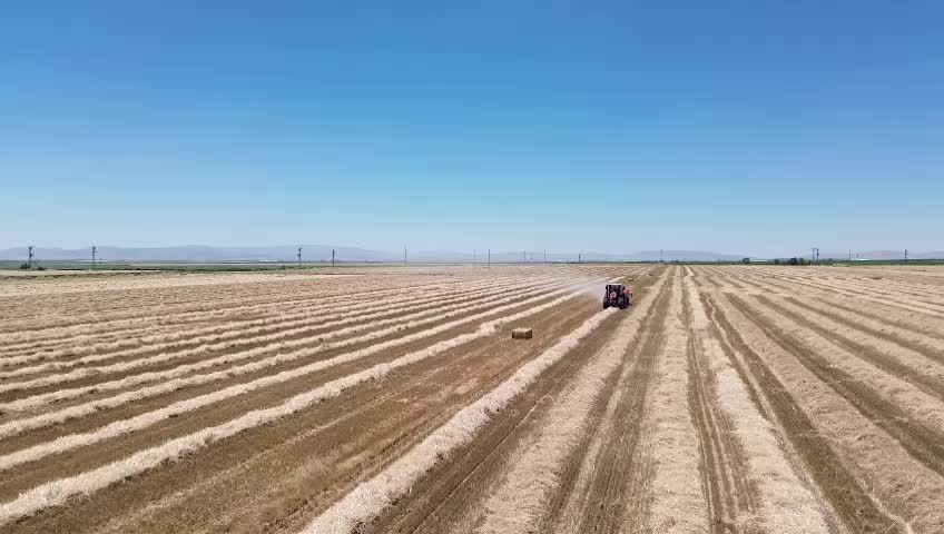 @Derviş Yanık