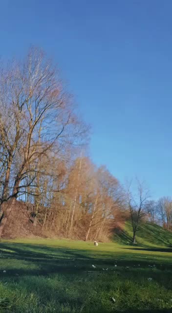 @Levi_Löwenherz