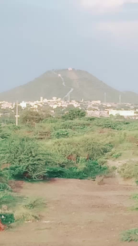 @royal rabari