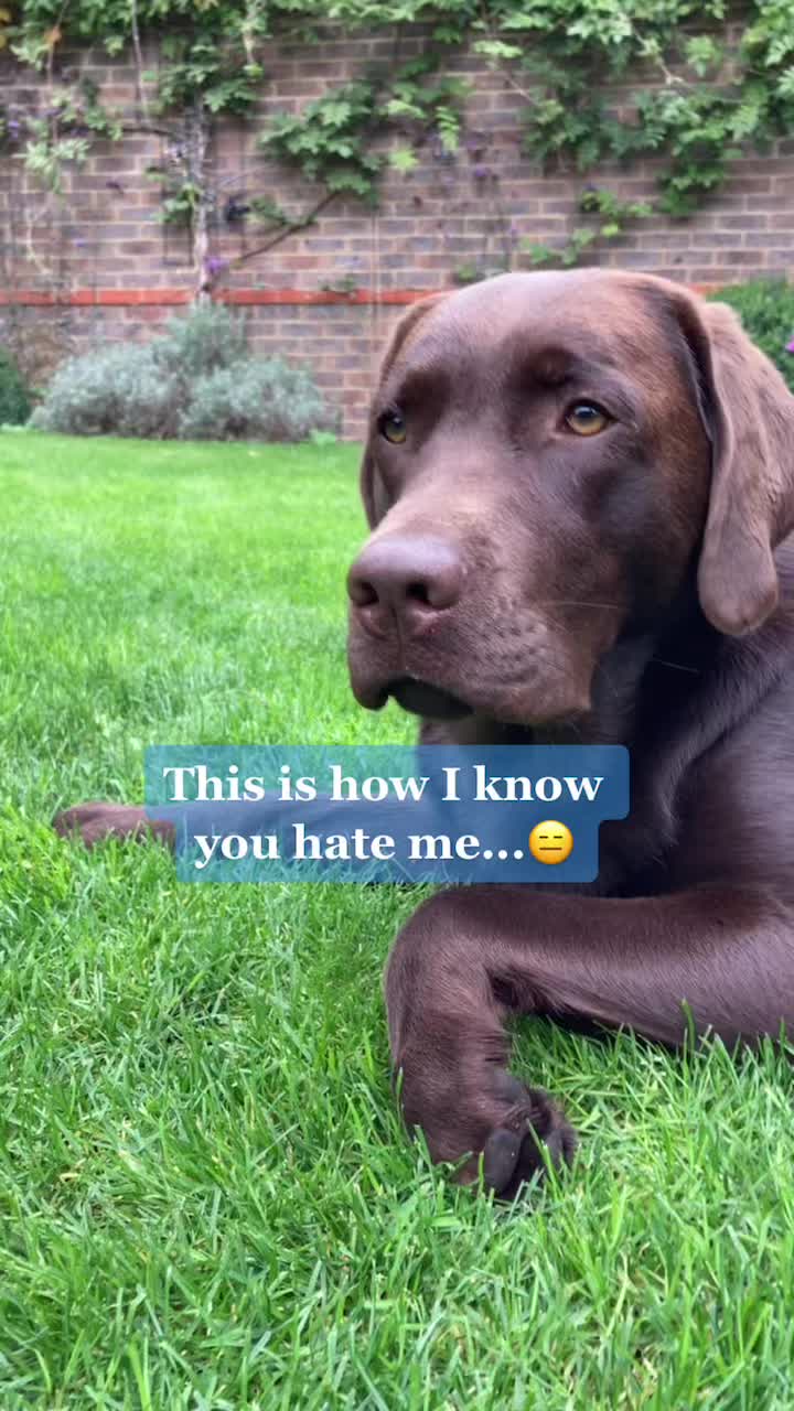@🐾 𝑻𝒆𝒅𝒅𝒚🐾