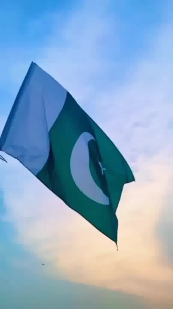 @shehbazali7700